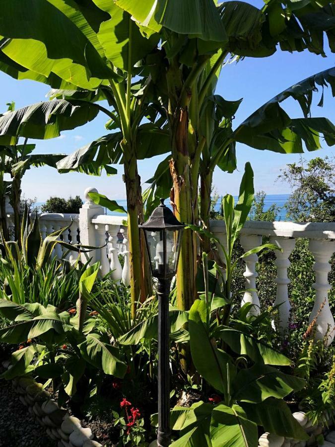 Guest House Amra New Athos エクステリア 写真